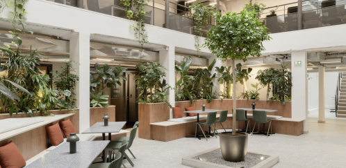 L'atrium central reflète l'identité du lieu : la circulation permet aux équipes de se rencontrer tout au long de la journée dans une atmosphère végétale.